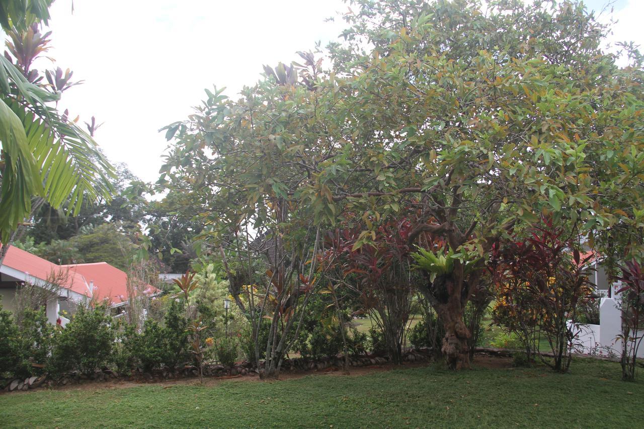 Daniella'S Bungalows Bel Ombre Exterior foto