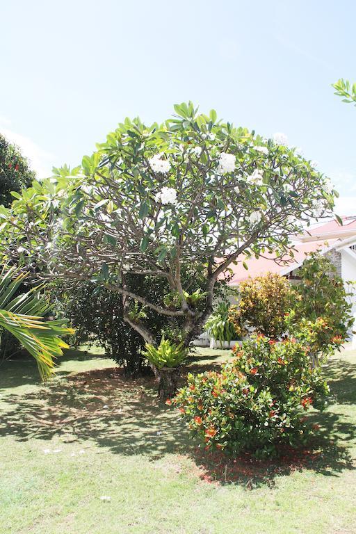 Daniella'S Bungalows Bel Ombre Exterior foto